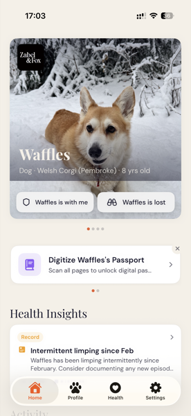 Echo owner app home screen with scan activity and triage