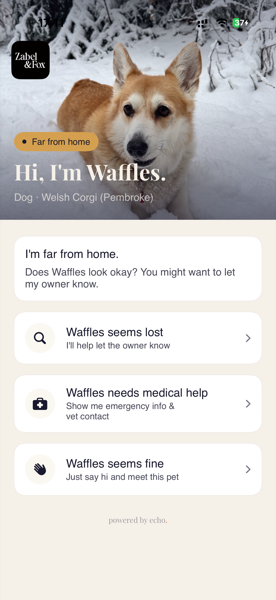 Echo smart triage: lost, needs help, or just saying hi