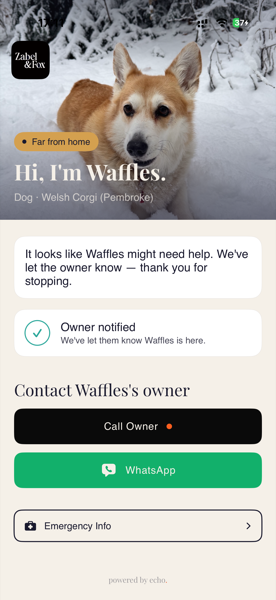 Echo owner notified with call and WhatsApp options