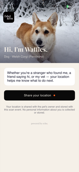 Echo finder location sharing screen
