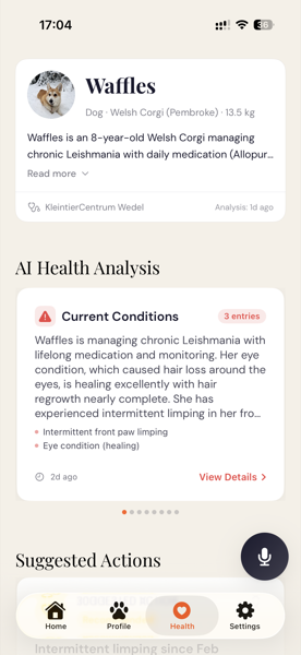 Echo AI health analysis with insights and observations