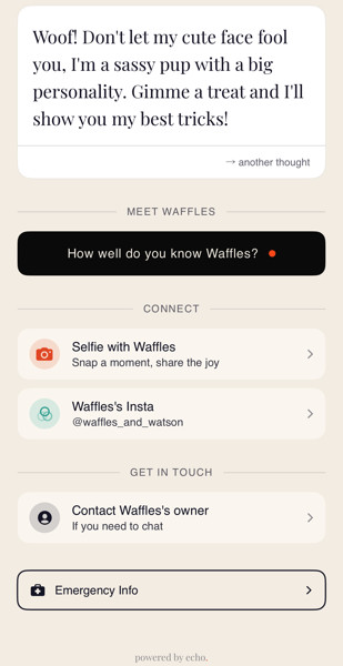 Echo social mode with personality, quiz, and connect options