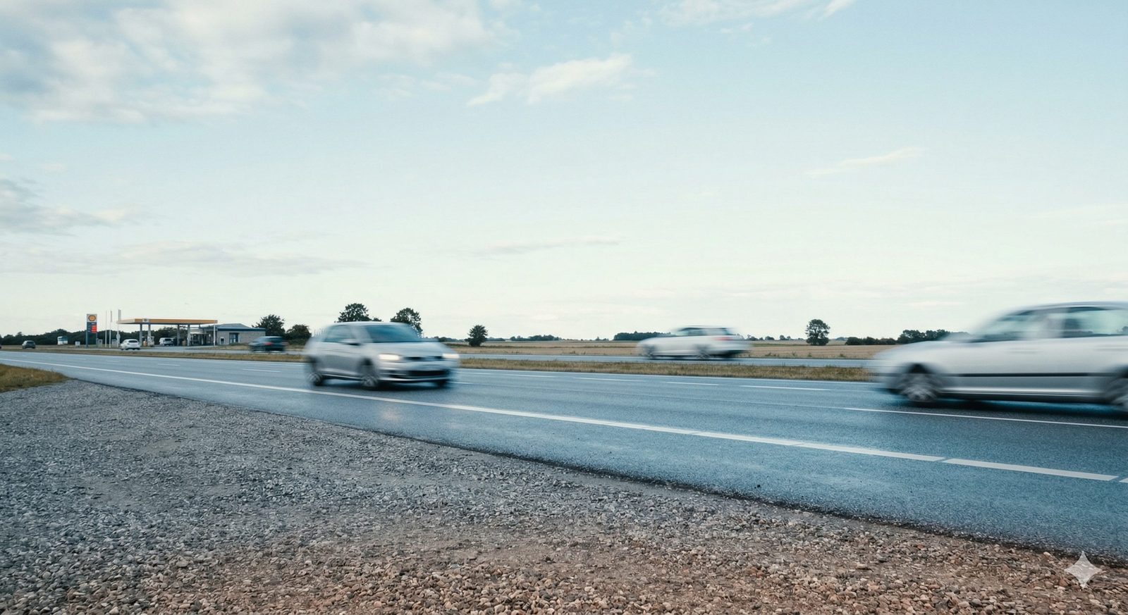 Cars passing on the busy coastal road where Waffles was found